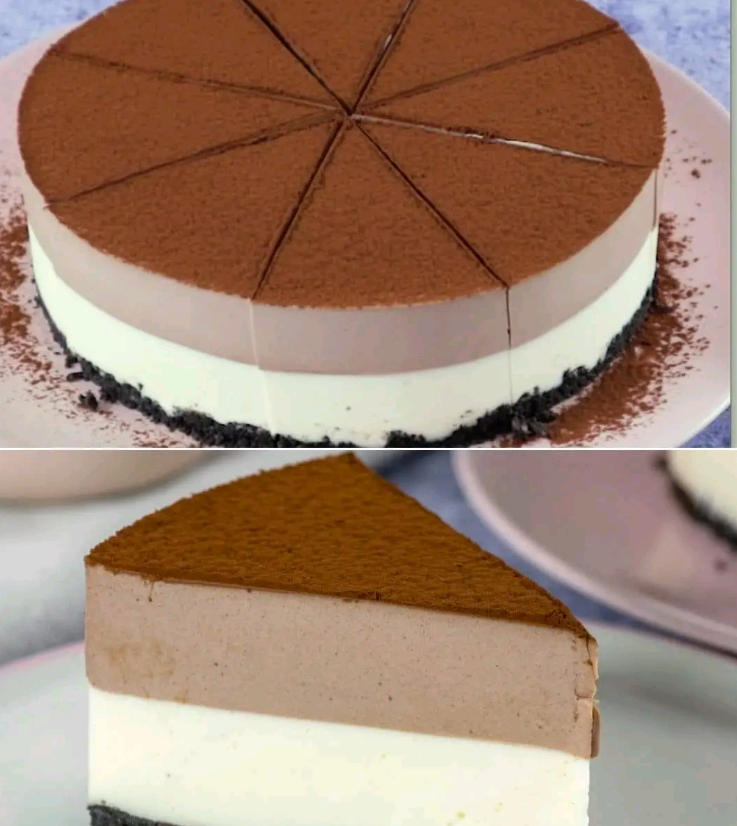 Double layer cheesecake